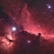 B33 and Flame nebula, 1350 views